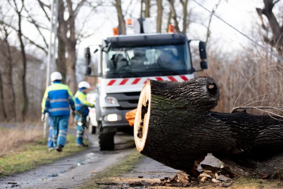Wycinka drzewa po wypadku na drodze z udziałem służb miejskich.